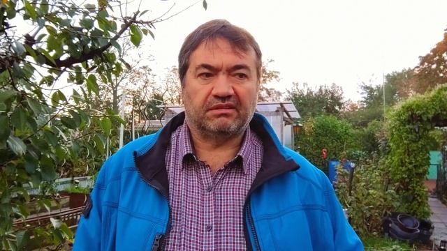 Так нужна или не нужна микориза и большие корни растен смотреть онлайн