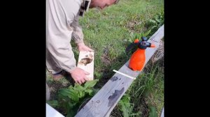 Новинка на пчелосезон 2021. Бессотовые пчелопакеты