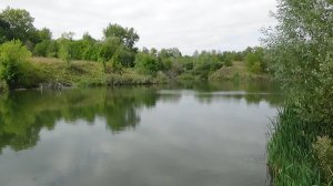 благоустроеный пруд пруды прохоровского района видео сельской месности у пруда
