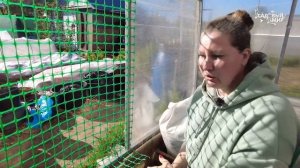 ЛУЧШИЕ САДОВЫЕ ШПАЛЕРЫ ПОЛУЧАЮТСЯ ИЗ ЭТОЙ СЕТКИ - Виде