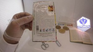 Георгина Коларет Денди. Семена Алтая