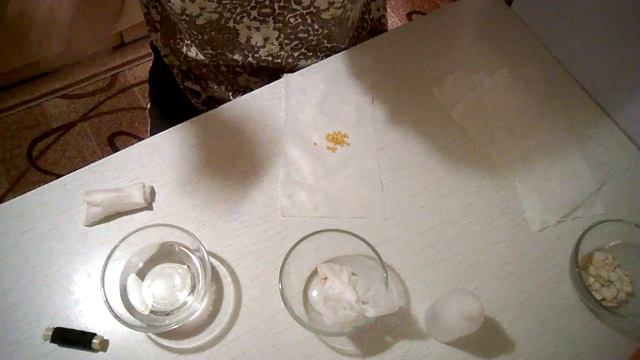 Обрабатываю семена перекисью водорода, ЭКСПЕРИМЕНТ смотреть онлайн