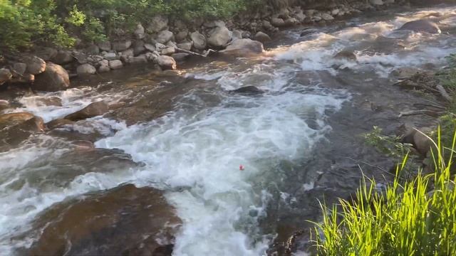 Едем в лес на 3 дня к Геше на пасеку, около мистического смотреть онлайн