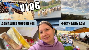 ВЛОГ 155. СОБРАЛИ УРОЖАЙ. ПРОВОДИМ ОПЫТ. ФЕСТИВАЛЬ ЕДЫ. СТАДО КОЗ. ДОМАШНЕЕ МОРОЖЕНОЕ