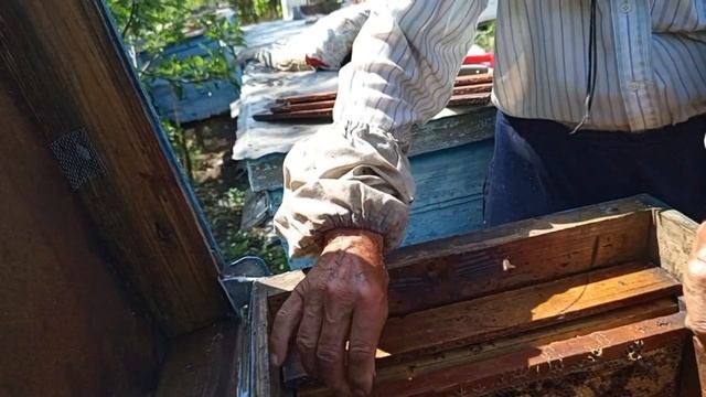 Первые результаты моего биомеханического метода, бом? смотреть онлайн