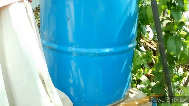 Теплица (Балаган) из веток.часть 2 смотреть онлайн