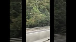 Деревня Жостово . 04.09.2025 г. Россия.