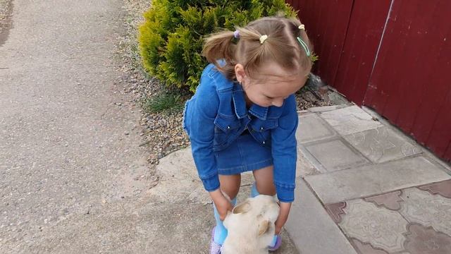 Клубника моего папы@zub520,я Алиса. смотреть онлайн