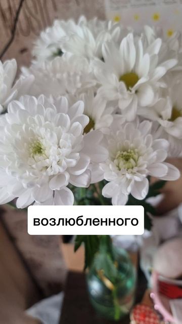 легенда о ромашке ))) смотреть онлайн