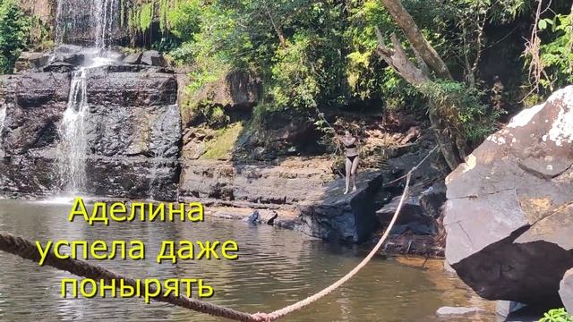 Водопад с бабочками и гигантское дерево