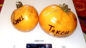 Гном томатный Такси