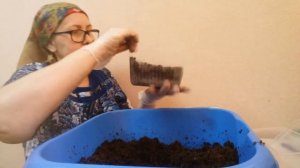 Посев в кипяток/ шоковый метод посева семян