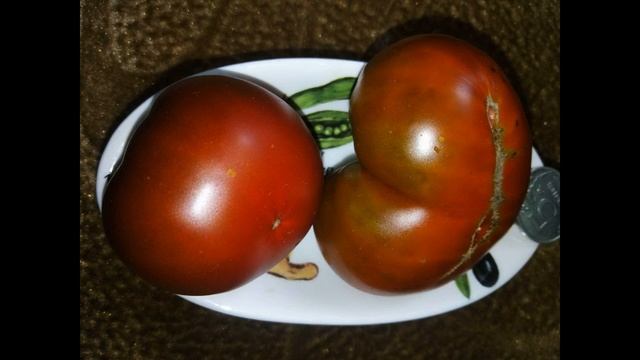 Самый лучший томат в мире 2023 г.!!! Высокоурожайный, слад смотреть онлайн