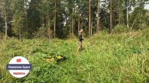 Тестирую новое косовище