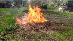 Сжигаю траву в огороде