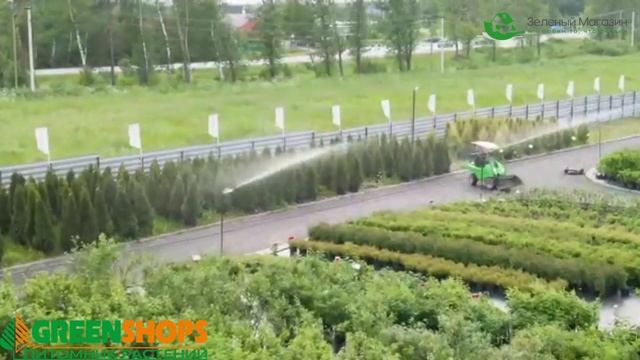 Зеленый Магазин является главным поставщиком товаров смотреть онлайн