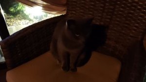 Отделали БОЧКУ для воды. Просто и стильно!