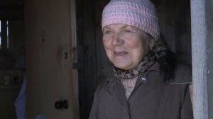 Кто погрыз картошку?