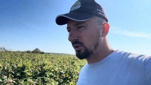 Малина Похвалинка и как попасть к нам в гости.