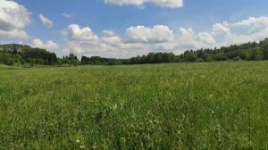 В лес за грибами. #природа#лето#поселок#юмор#деревня#те