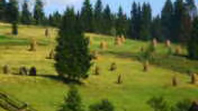 А скошена трава стає вже сіном смотреть онлайн