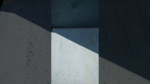 Годовой цикл борьбы обработки пчёл от клеща Варроа. Ре