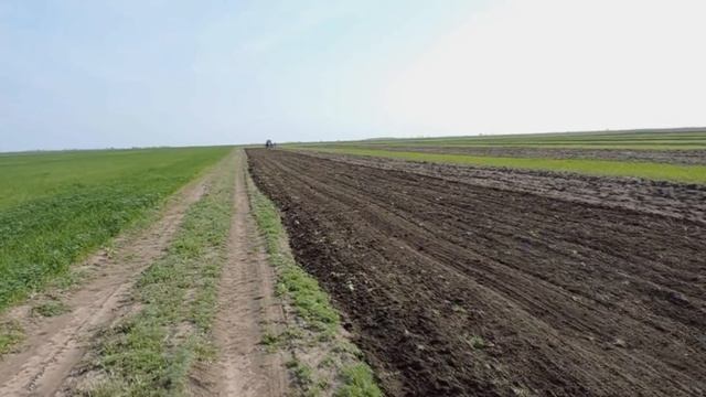 #3 Обработка почвы для высадки арбуза Талисман Ф-1. Перв смотреть онлайн