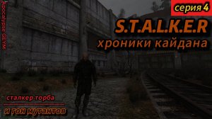 S.T.A.L.K.E.R Xроники кайдана серия 4 часть 2 СТАЛКЕР Торба и мутней гон