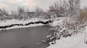 Садовый пруд на участке даче своими руками для развед?