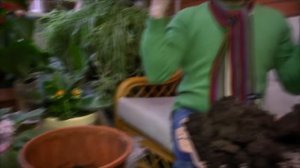 программа ДАЧА