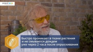Ракурс от болезней хвойных. Инструкция и особенности ?