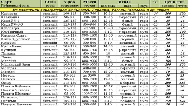 КАТАЛОГ ВИНОГРАДА ОСЕНЬ 2021 Севериненко Виктора Ивано? смотреть онлайн