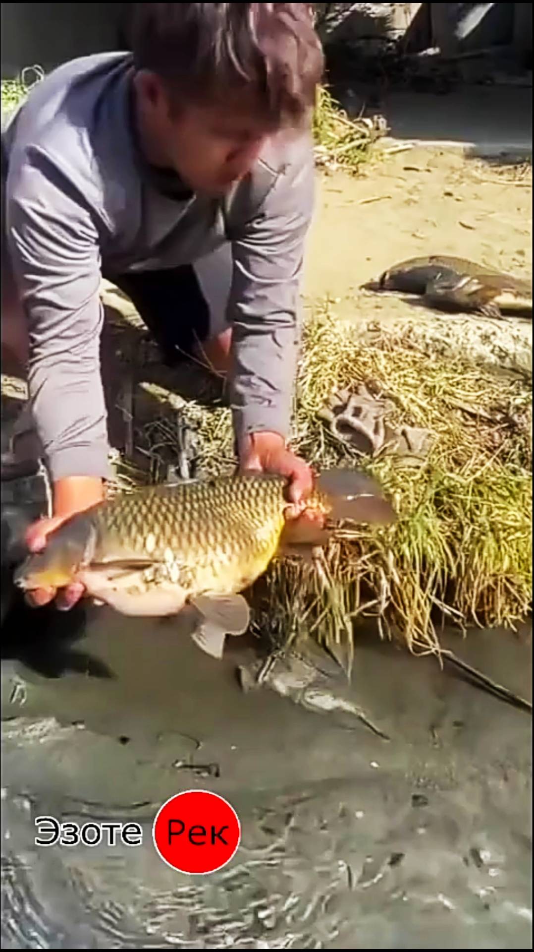 Рыбалка на ямку на камешек на дурняка