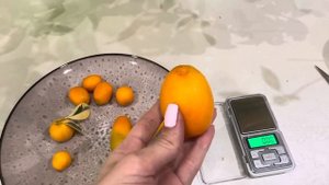 Кумкваты : Маргарита и Маргарита Биг , Мейва, Оранжеква