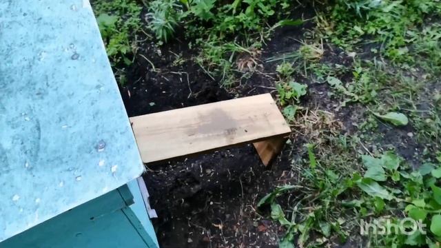 Вышел рой из улья с корпусом. Делаем нуклеус отводок. Ж смотреть онлайн