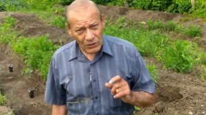 Русский лайфхак: Как сажать виноград.Метод траншейной