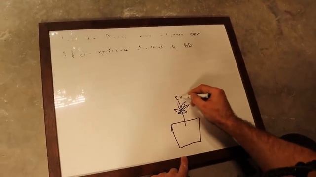 Ответы по выращиванию конопли в Индоре  Тренировка, оп смотреть онлайн