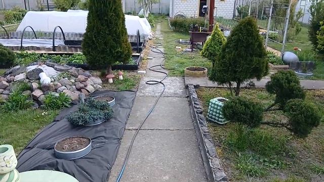 14 мая 2025 г.  Начали высаживать рассаду, тянуть далее у? смотреть онлайн