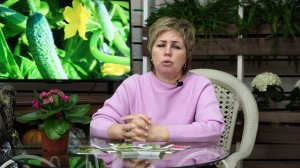 ТОП 6 пчелоопыляемых огурцов для открытого грунта 🥒 О