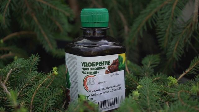 УДОБРЕНИЯ ДЛЯ ХВОЙНИКОВ. СЕКРЕТЫ И ОТЛИЧИЯ ПИТАНИЯ ХВ? смотреть онлайн