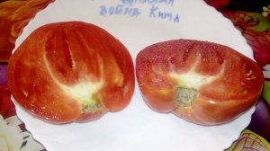 Томат Гражданская война Кима Kim's Civil War