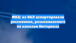 МВД: из ОАЭ депортировали россиянина, разыскиваемого по каналам Интерпола