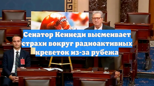 Сенатор Кеннеди высмеивает страхи вокруг радиоактивных креветок из-за рубежа