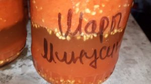 15.09.23.Томат Подарок феи, Красный бутон, Кечкемети. Поче?