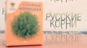 Купить солянку холмовую в фито аптеке «Русские корни»