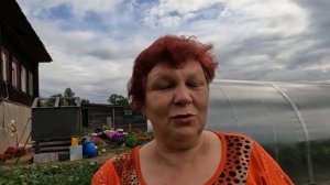 🧅ВСЁ ПРО УБОРКУ ЛУКА ШАЛОТ! КАК ПРАВИЛЬНО ПРОСУШИТЬ Л