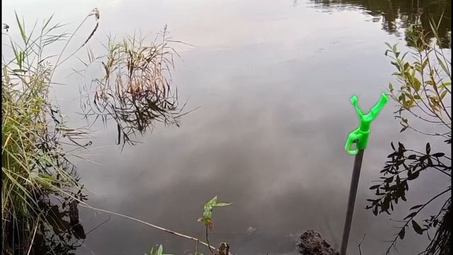 Исетское озеро. 
Начало осени , 2часть .