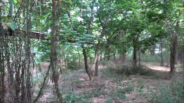 Заброшенные теплицы учхоза Кубань. Часть 1 смотреть онлайн