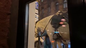 Моя ПЕРВАЯ поездка в ПИТЕР!😝 | ✨Vlog✨ из Санкт-Петербур