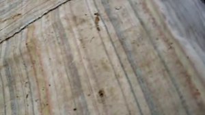 Устанавливаю заставные. ЗИМУЕМ (17.11.2018г.)